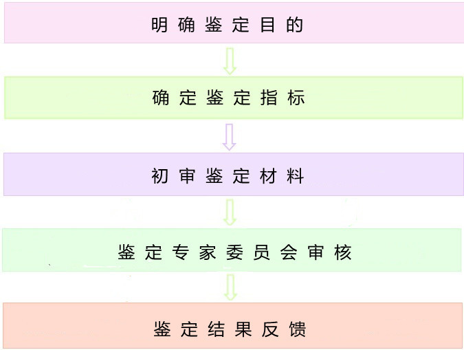 Diagram for assessment process